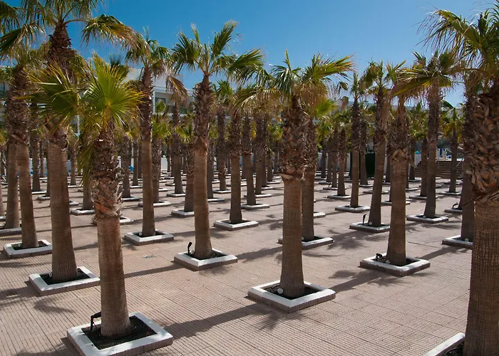 فندق Bluesea Costa Bastian 4*