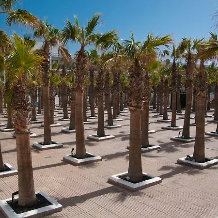 Hotel Bluesea Costa Bastian 4*